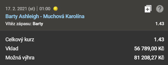 ashgley-barty-vs-karolina-muchova-tiket